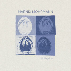 Pliothyrina cover artwork