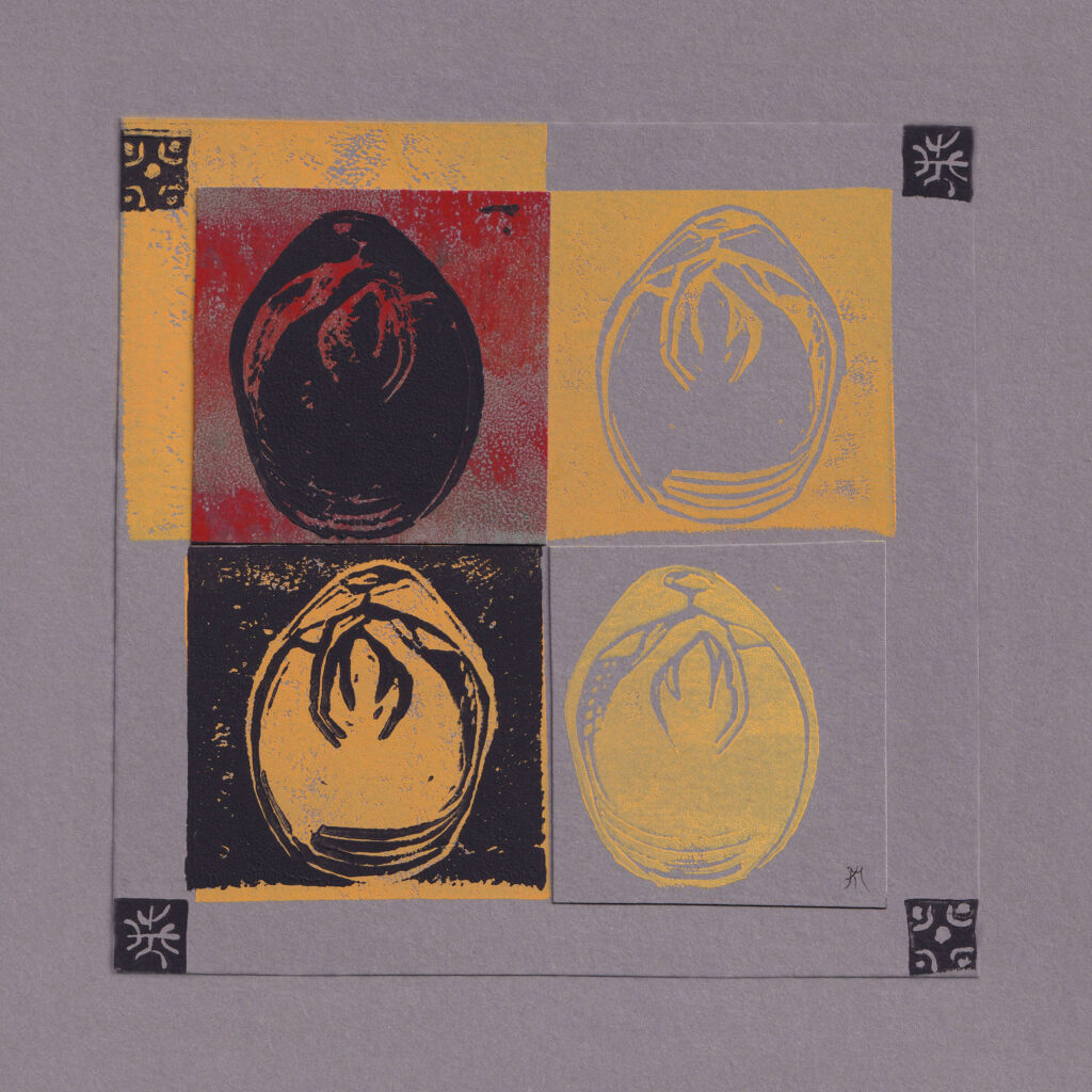 Original artwork for Pliothyrina, depicting a seashell in four different ways.